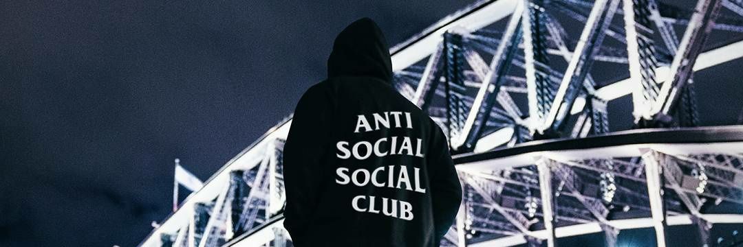 PURIST banner