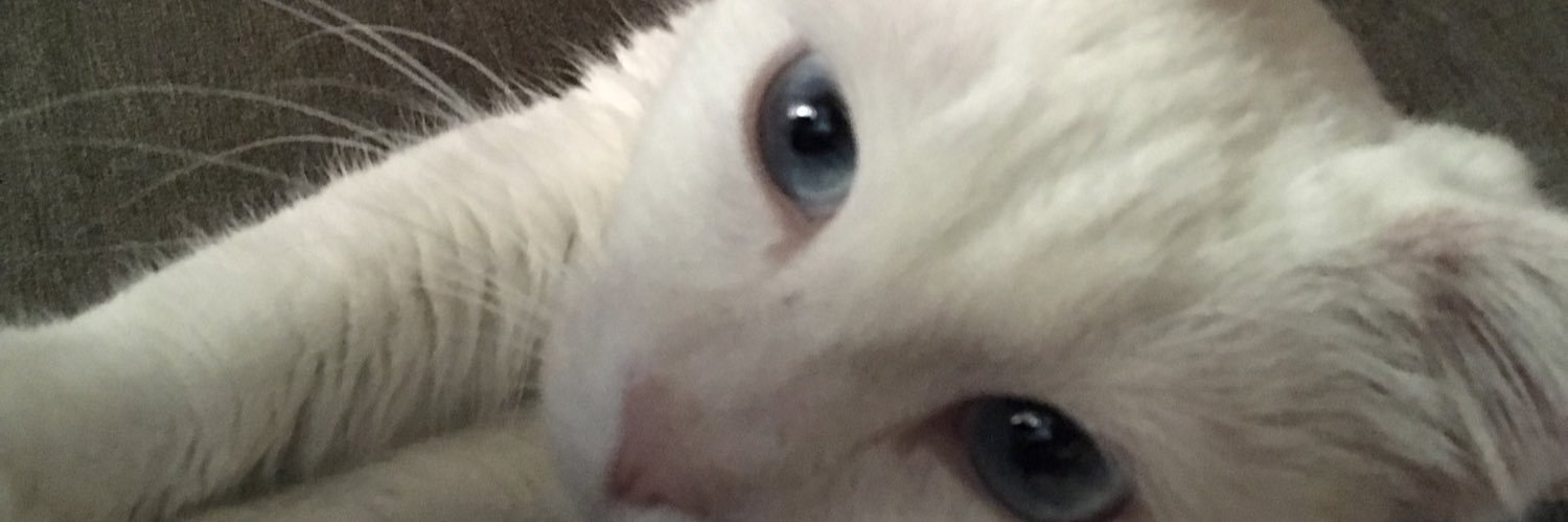 forbsm's profile banner image
