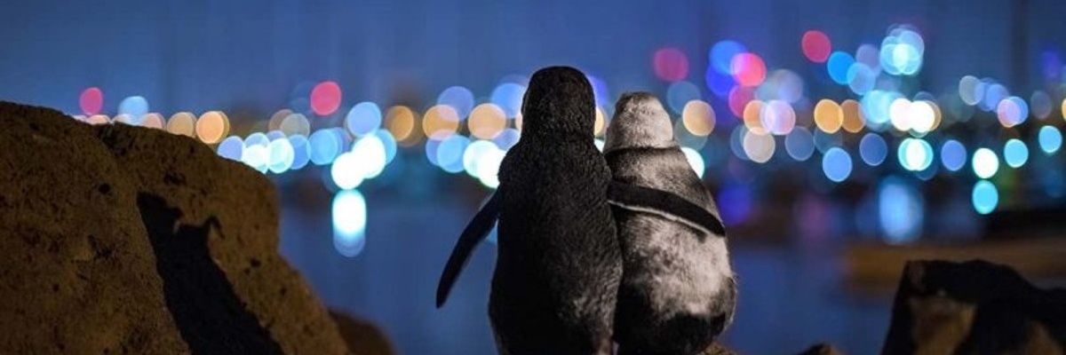 Irenemc7's profile banner image