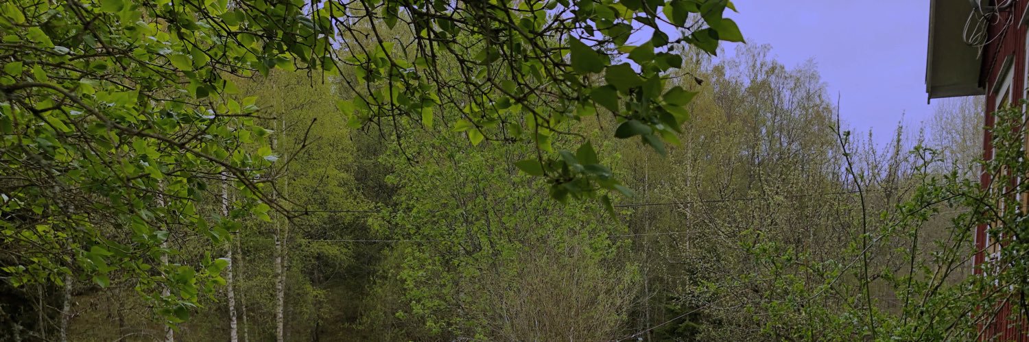 JuliaBk2's profile banner image