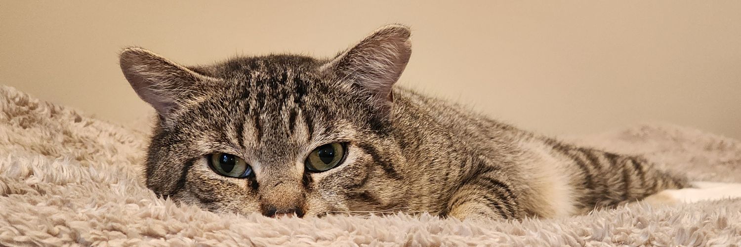 Ну и нахрена? banner
