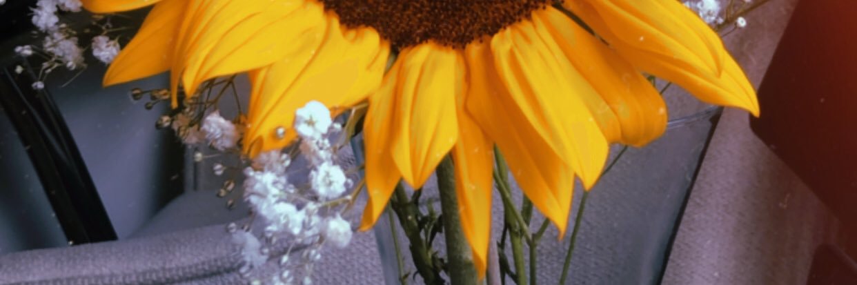 jullsf's profile banner image
