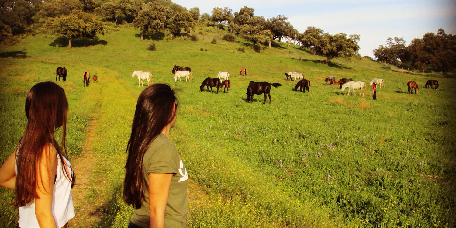 lauracascos's profile banner image