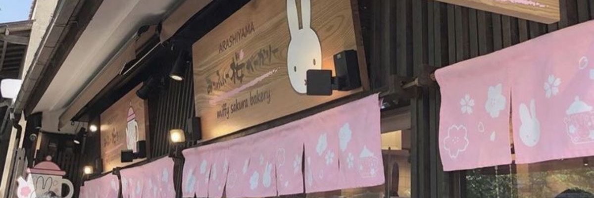 FlingFeliza's profile banner image