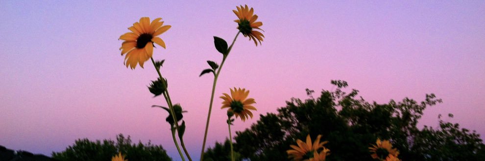Jonai410's profile banner image