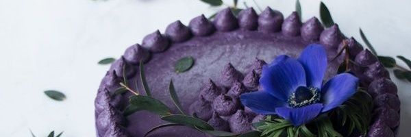 DPalafox91's profile banner image