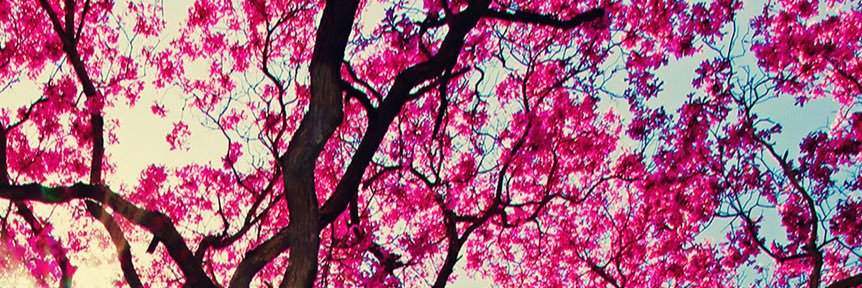 MathildeAlaufer's profile banner image