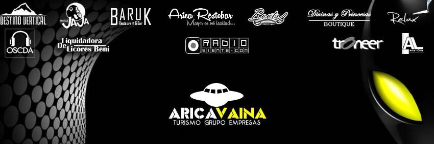 aricavaina's profile banner image