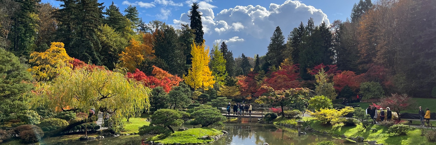 Pbville's profile banner image