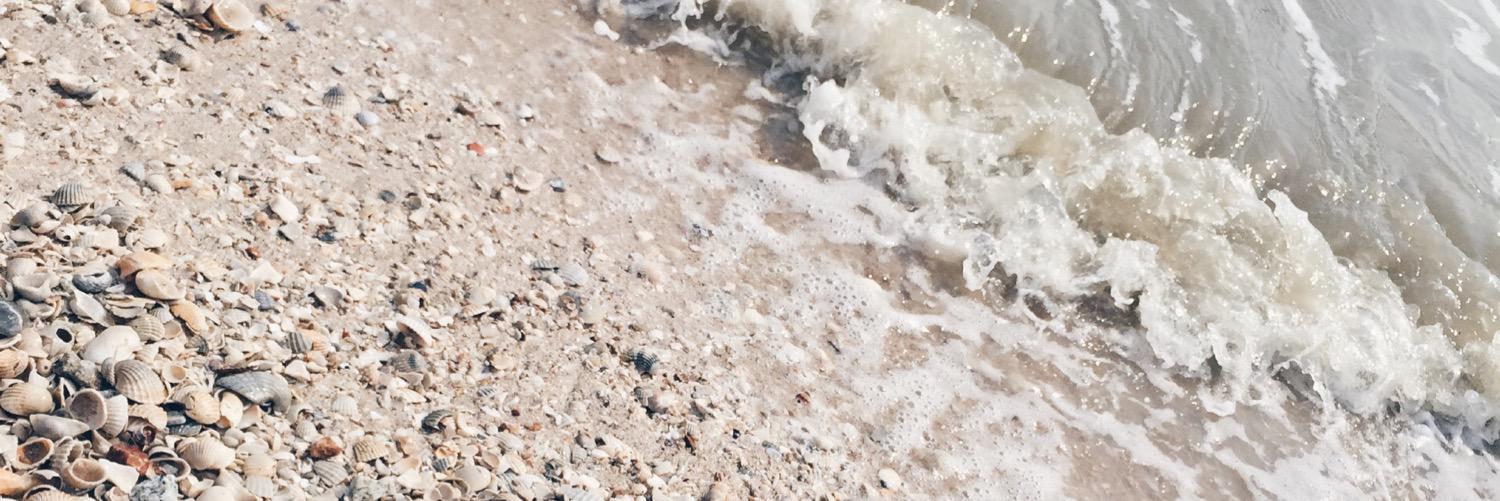 chitweetquotes's profile banner image
