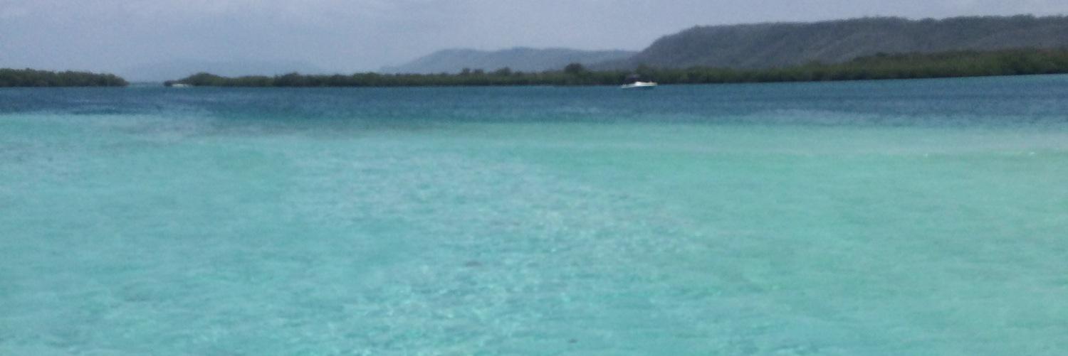 WleiFajardo's profile banner image