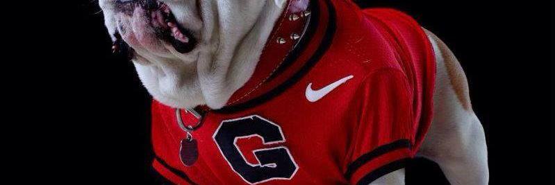 JamesWestbrook3's profile banner image