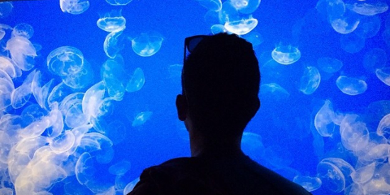 Dylanvega's profile banner image