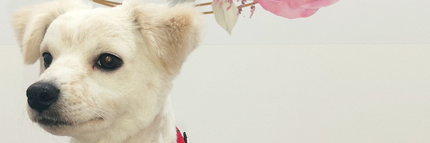 KmiiloC's profile banner image