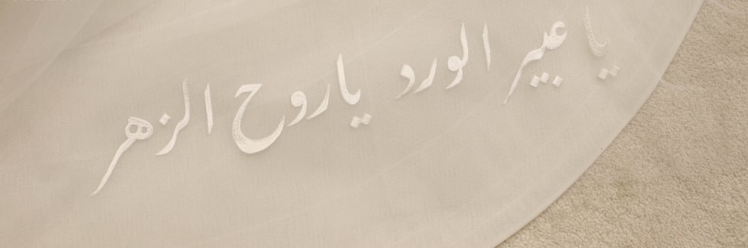 AALMx's profile banner image