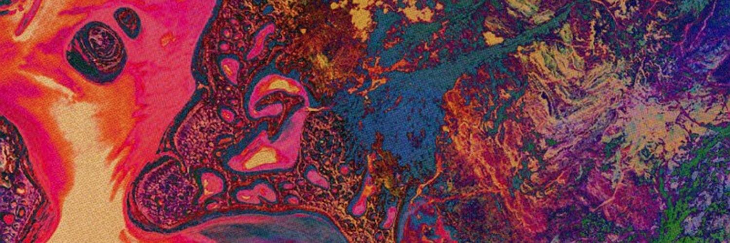 charoddi's profile banner image