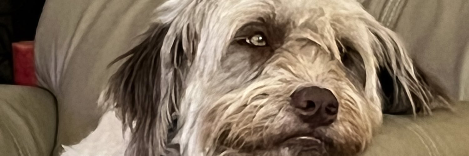 JoshJoshuua's profile banner image