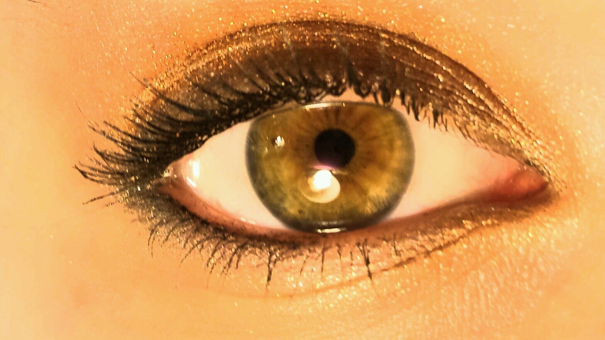 OrPhotographys's profile banner image
