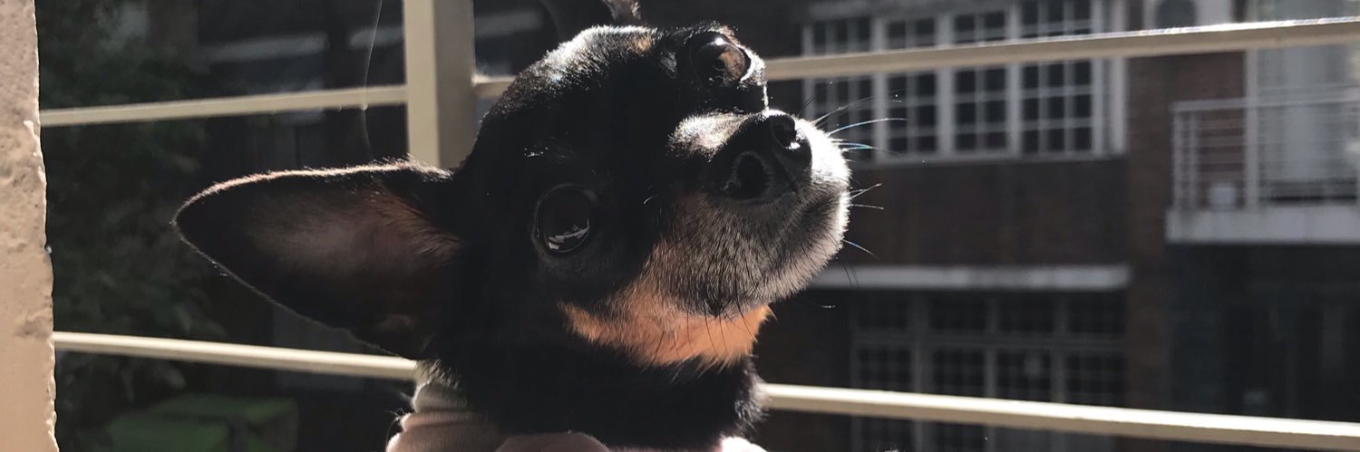 martuzonca's profile banner image