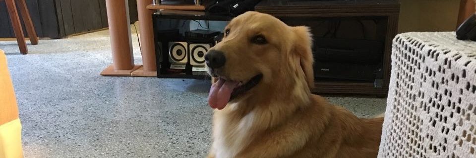 magaesdu's profile banner image