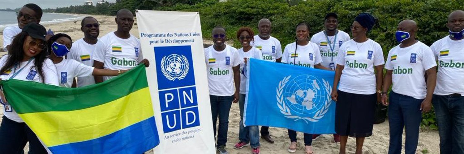 PNUD GABON banner