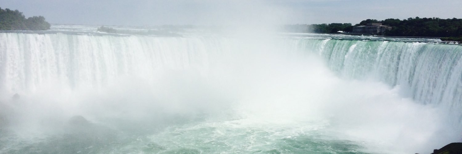 Katie Webster banner