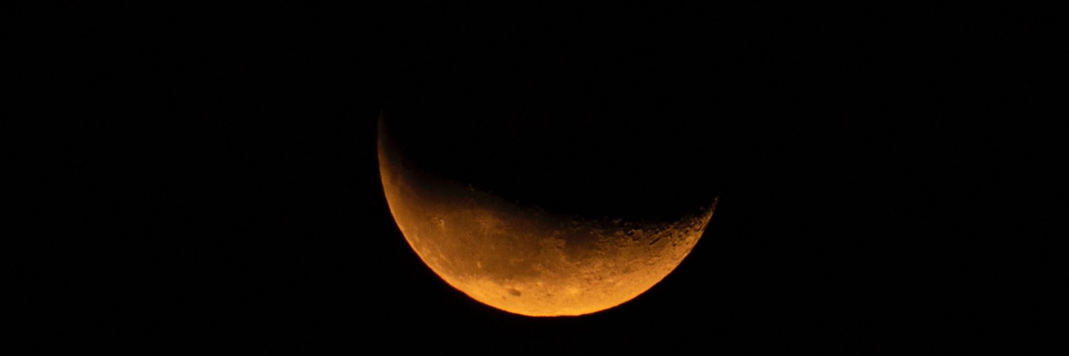 _birgetta_'s profile banner image