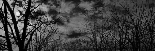 punkindness_'s profile banner image