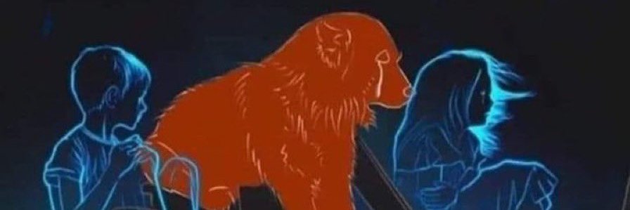 Casey Sherman (Verifіed Account) 🇬🇱 banner