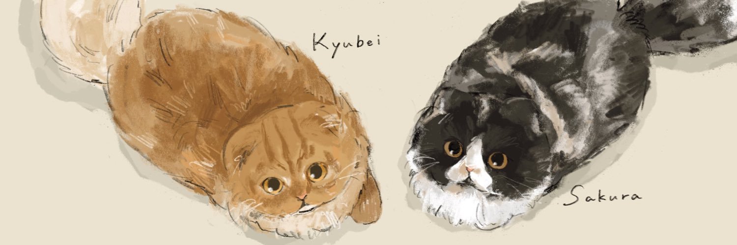 mofu0929's profile banner image