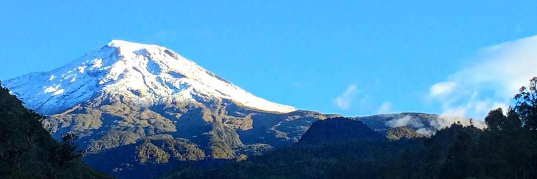 alejodulima's profile banner image
