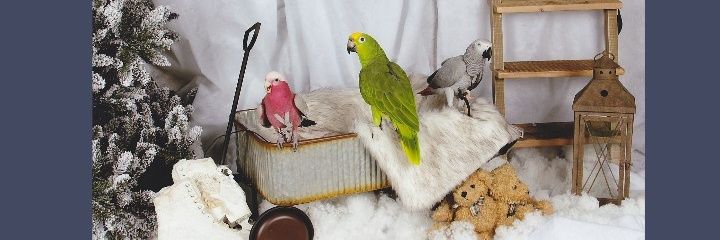 MarcovdBunt's profile banner image