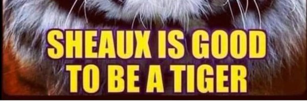 Snow65Snow Profile Banner