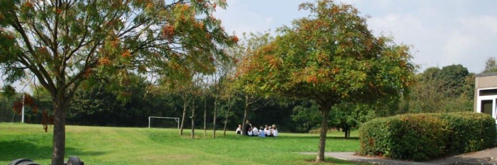 Langley Mill Academy banner