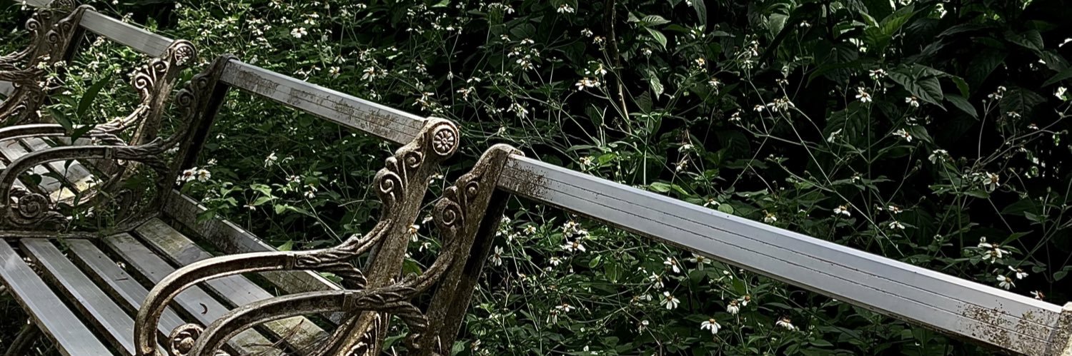 szhyw91's profile banner image
