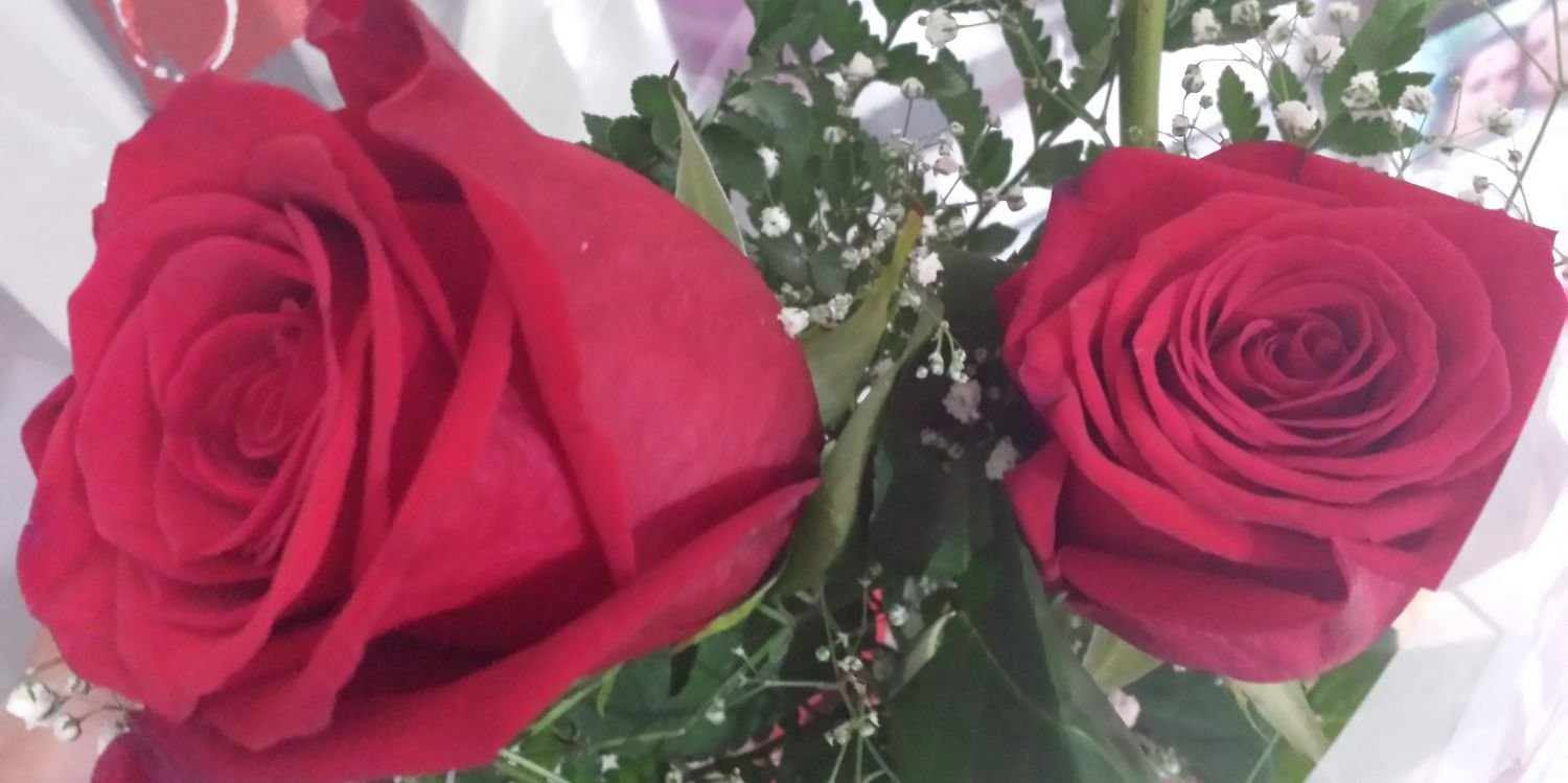 raquelrdguez's profile banner image
