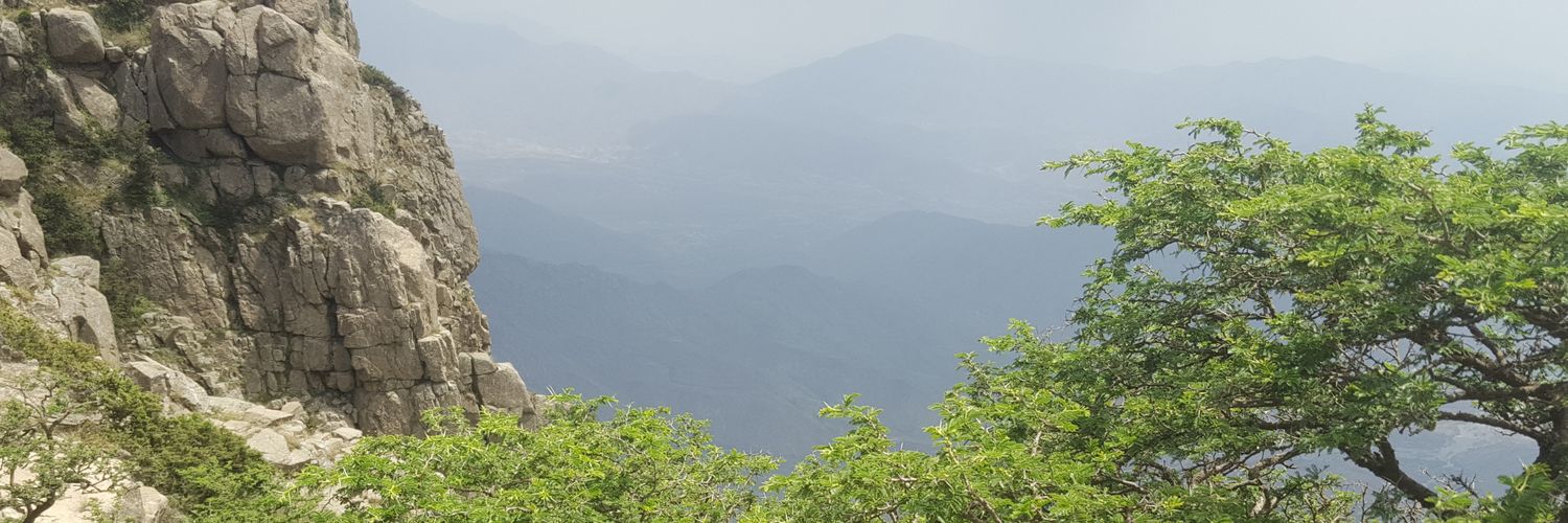 alamri822's profile banner image