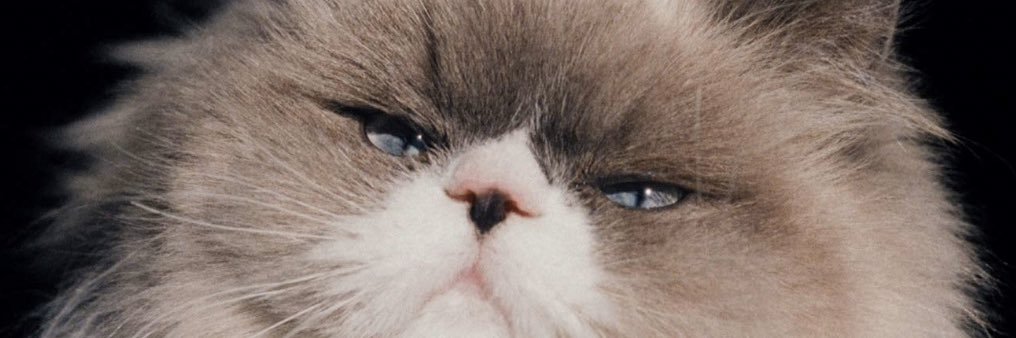 minapoyo3's profile banner image