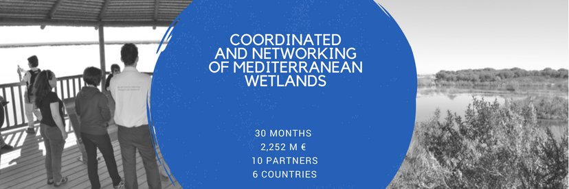 WETNETMED banner