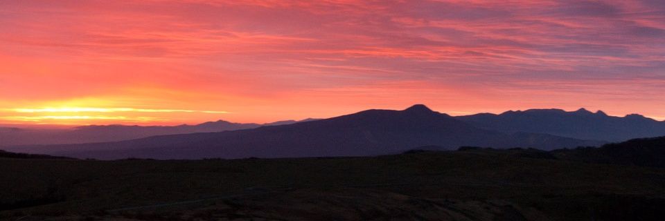 T_0322i's profile banner image