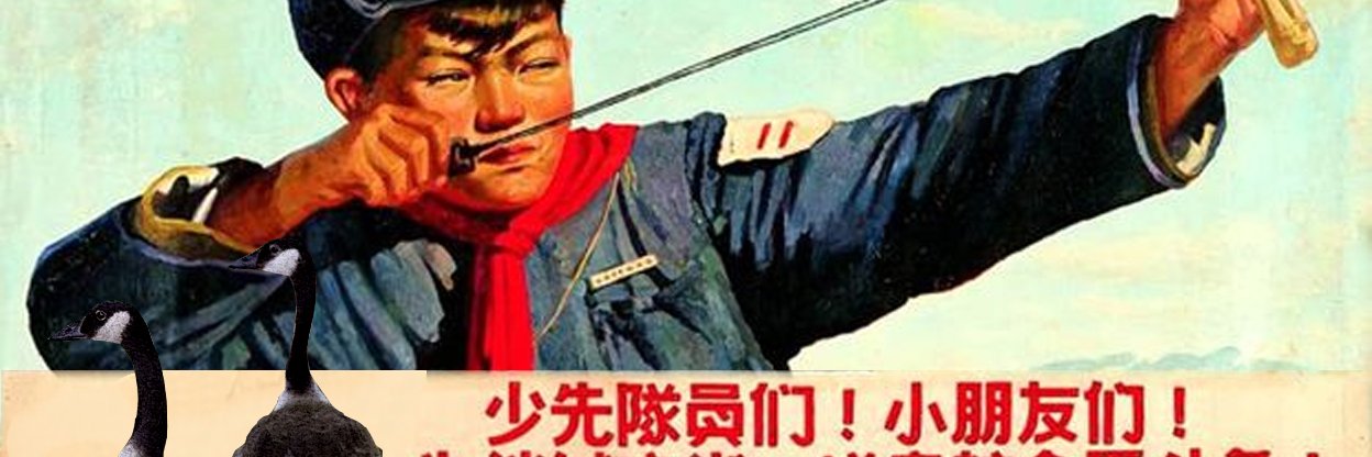 Anti-Goose Action banner