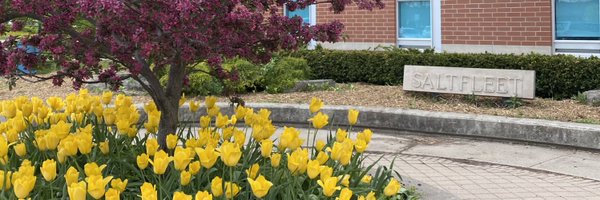 StewardsonHWDSB Profile Banner