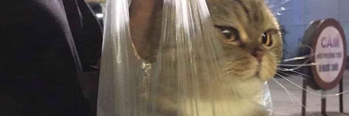 byssobad's profile banner image