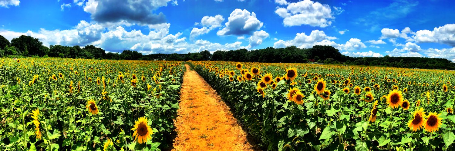 benjycapps's profile banner image