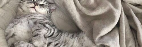 MltchWay's profile banner image