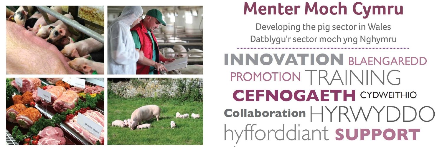 Menter Moch Cymru banner