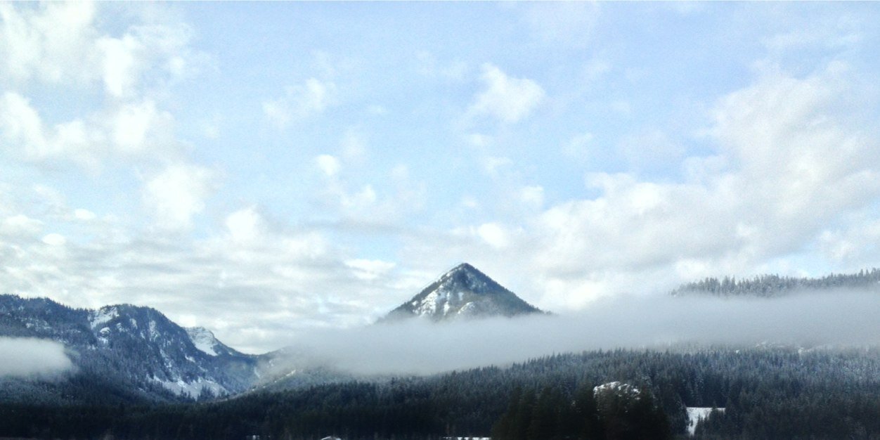 Dallas Johnson banner