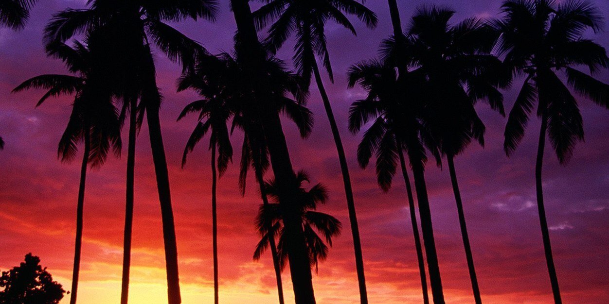 TonyDanieIs's profile banner image