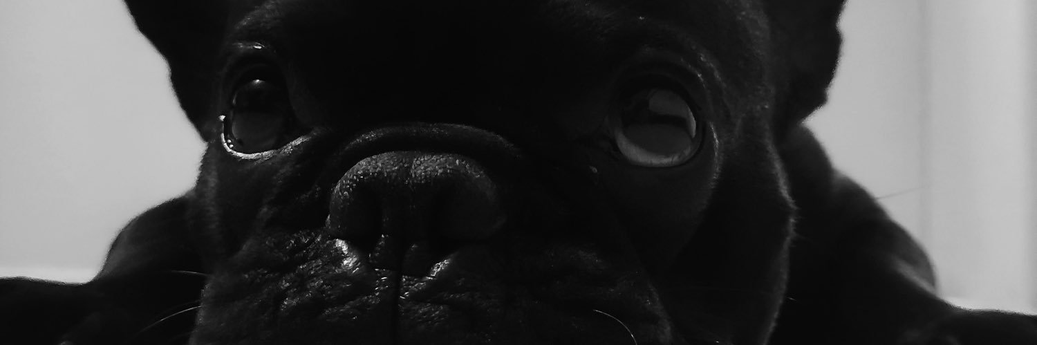 evrendetek's profile banner image