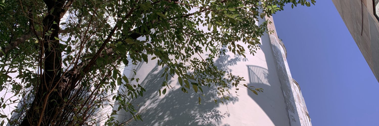 liacesss's profile banner image